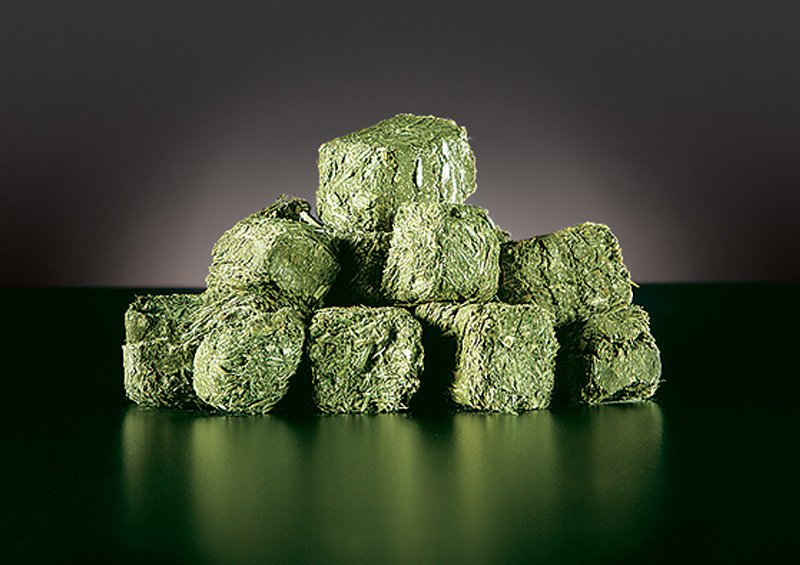 SEMICAN FEED HAY CUBES, MINI CUBE,PELLET HORSE FEED