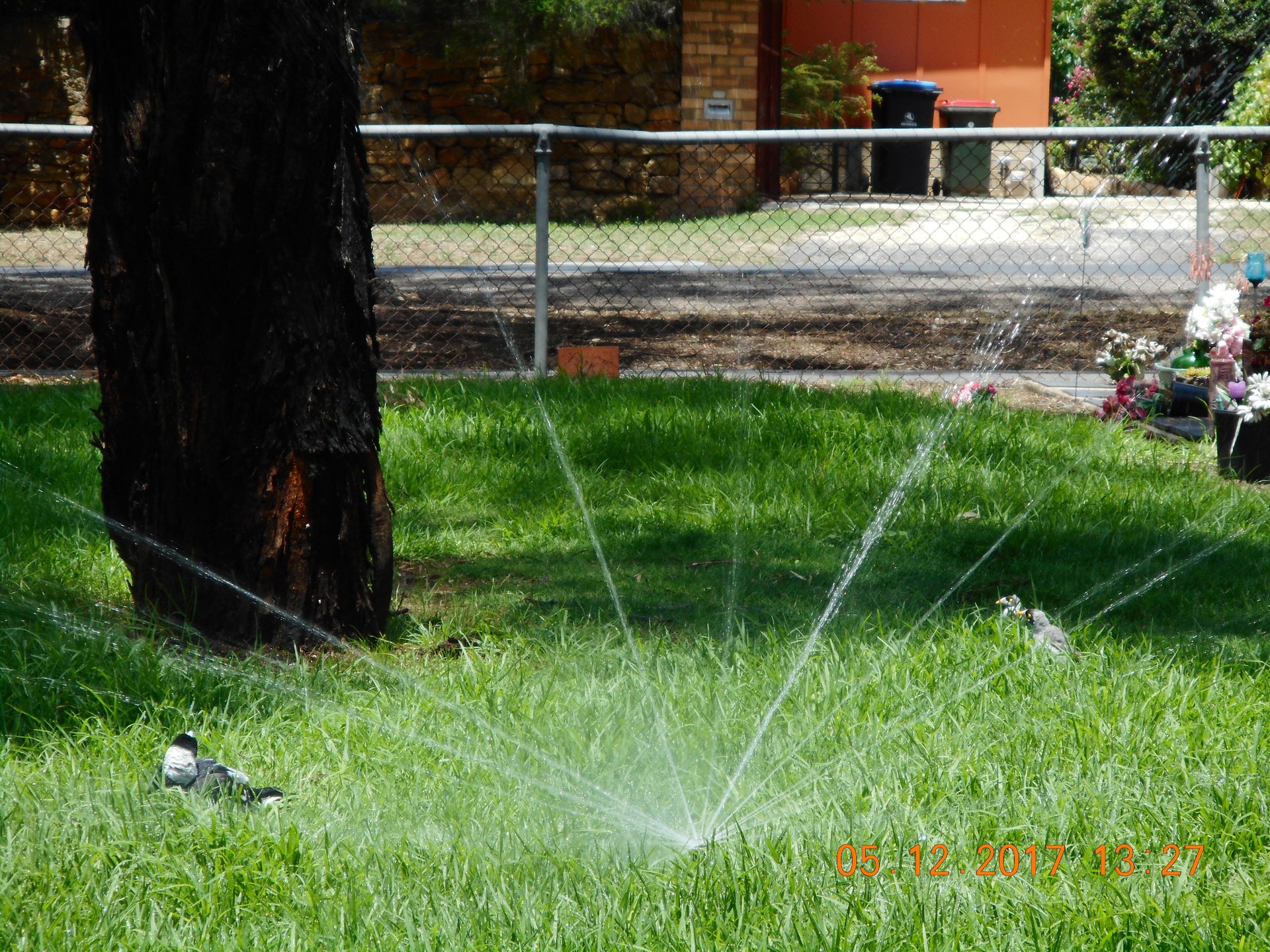 Gallery Bendigo Pumps and Irrigation