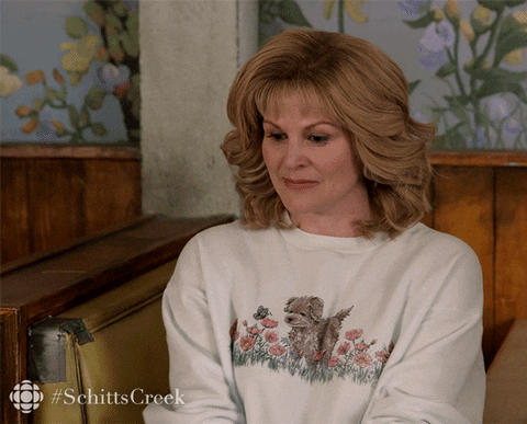 een woning zoeken in Alkmaar Castricum of Heiloo