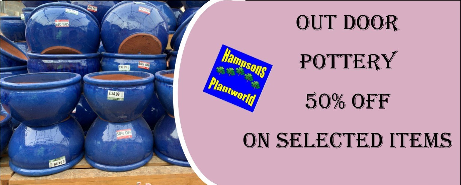 Home [www.hampsonplantworld.co.uk]