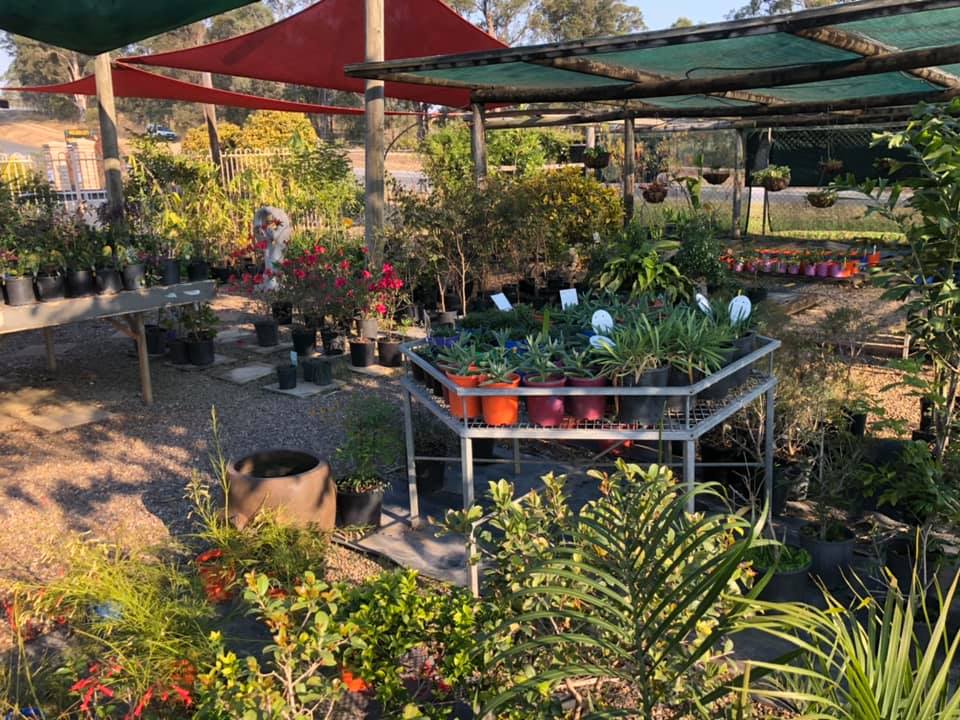 Landscapers in Gympie Golden City Gympie Brick & Landscape