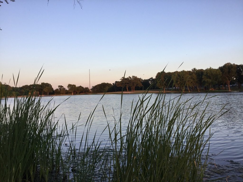 Property Details Lake Pointe Apartments