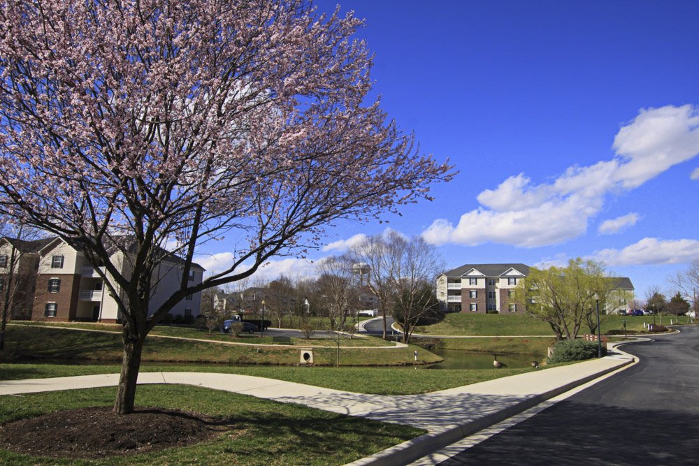 Photo Gallery WillowBrook Luxury Apartments