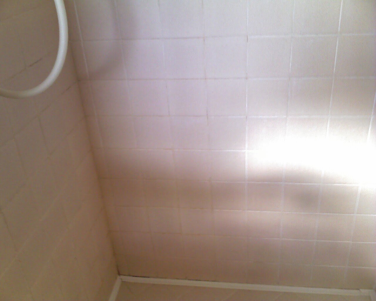 Shower Regrouting