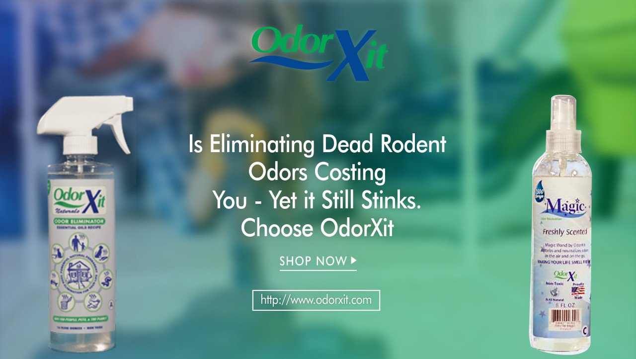 Skunk Smell Removal is Easy With Essential Oils that Really Work!