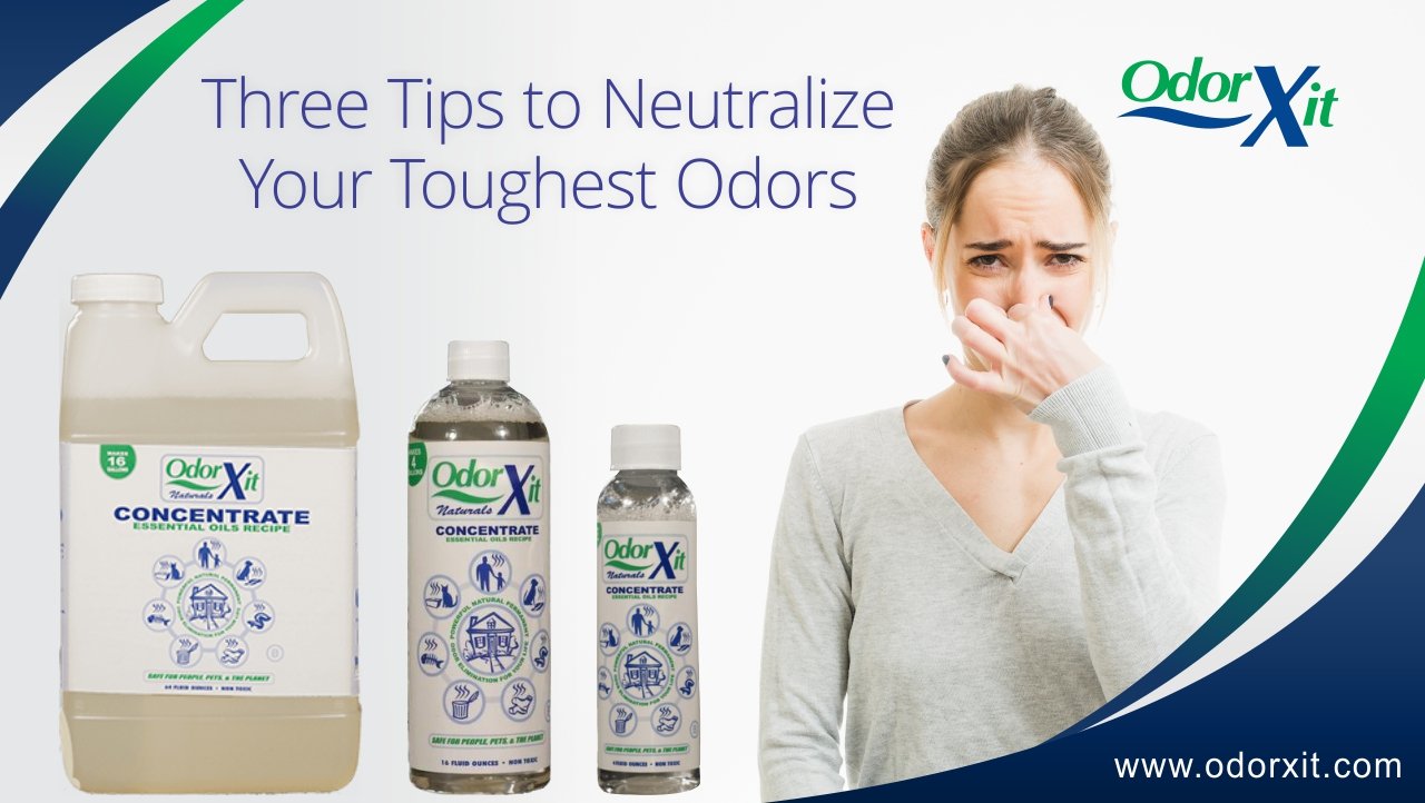 How to Remove Crawl Space Odors