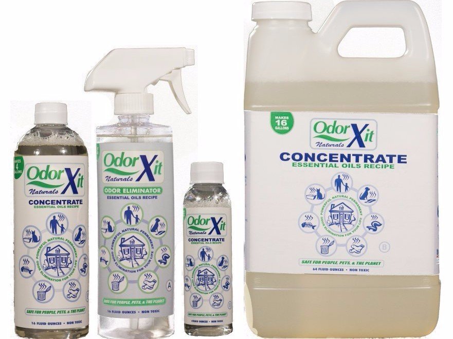 How to Remove Urine from Carpet, Padding and Flooring Easily