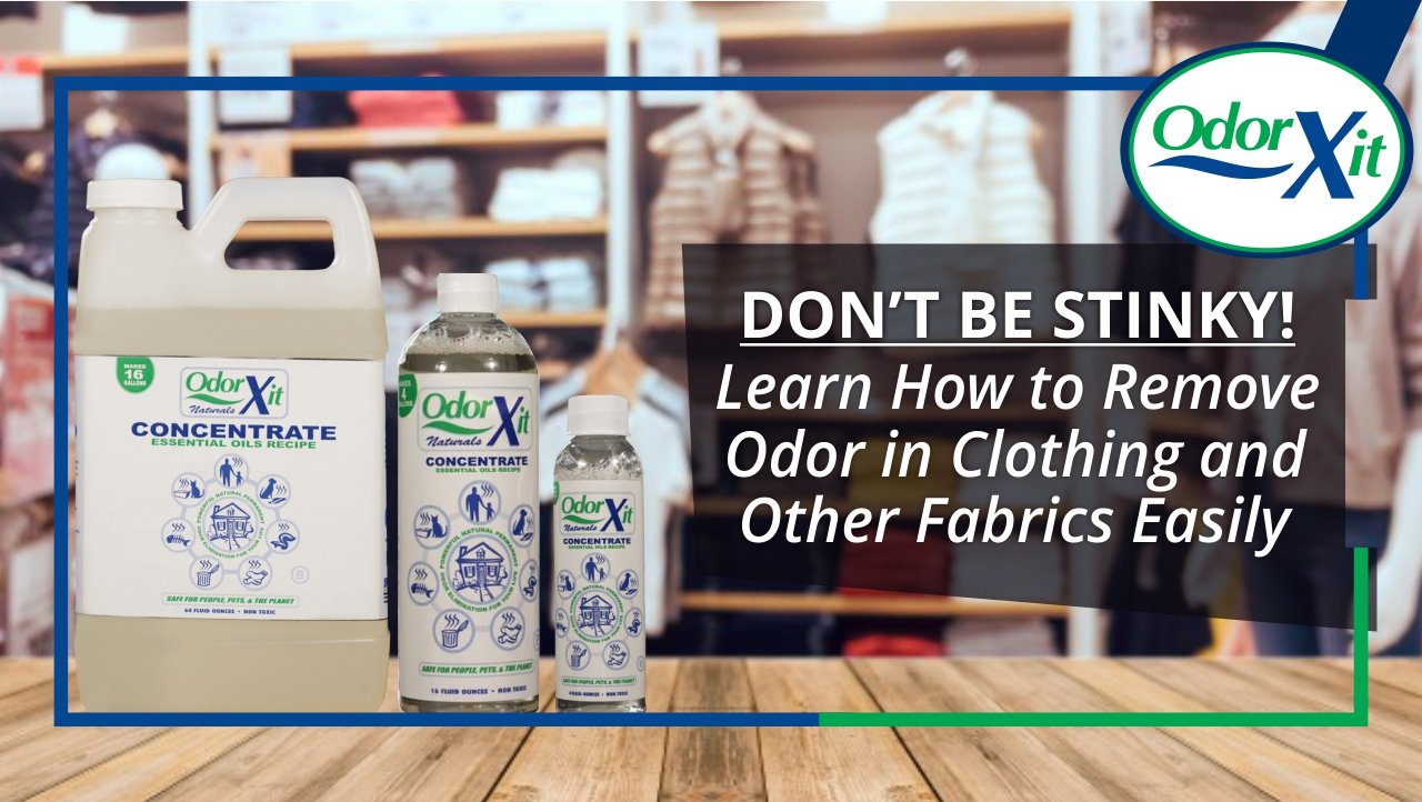 How to Remove Crawl Space Odors