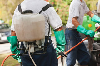 Empire State Exterminating Inc. | Amherst & Buffalo, NY | Pest Control ...