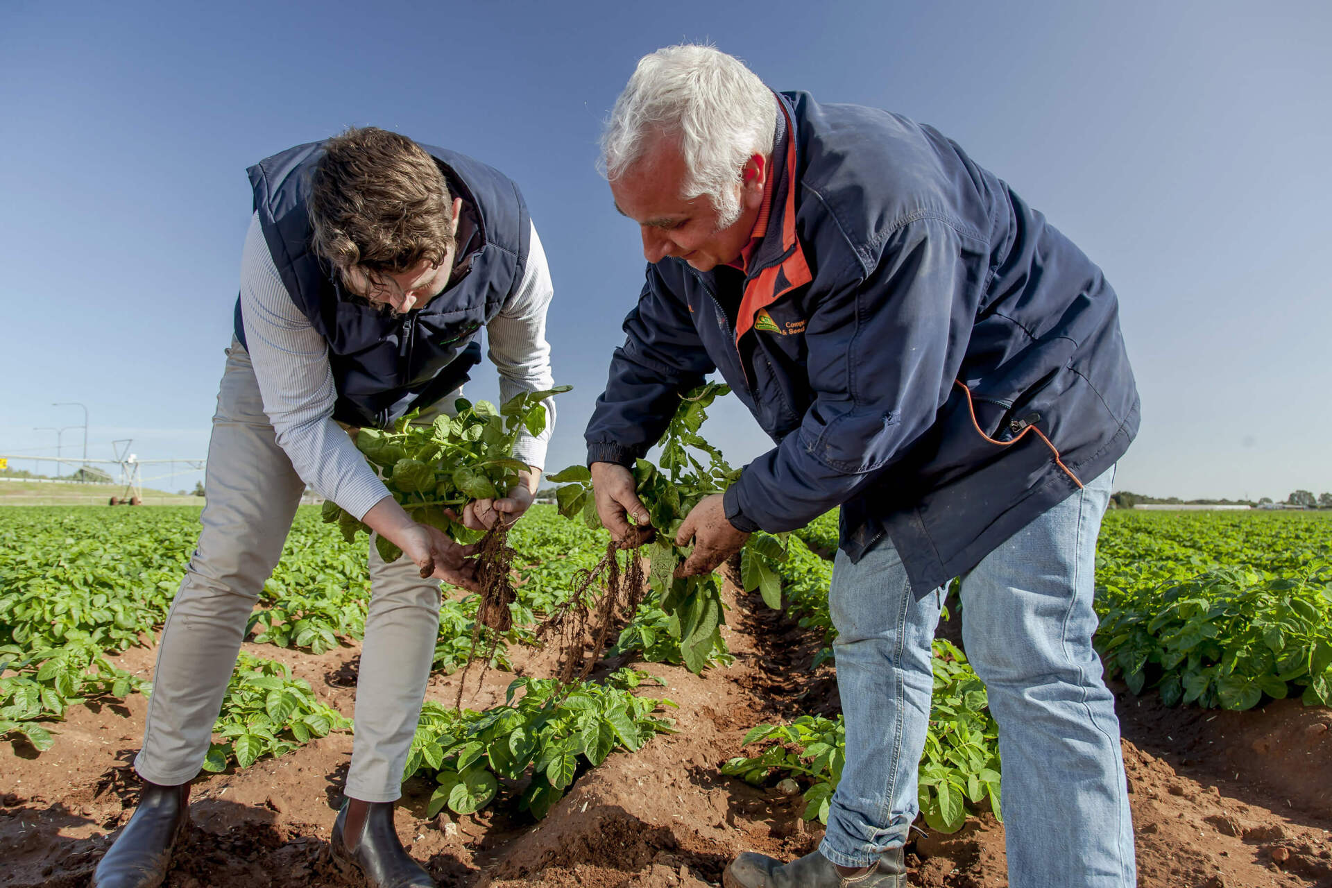 Commercial Vermiculture & Crop Applications AV