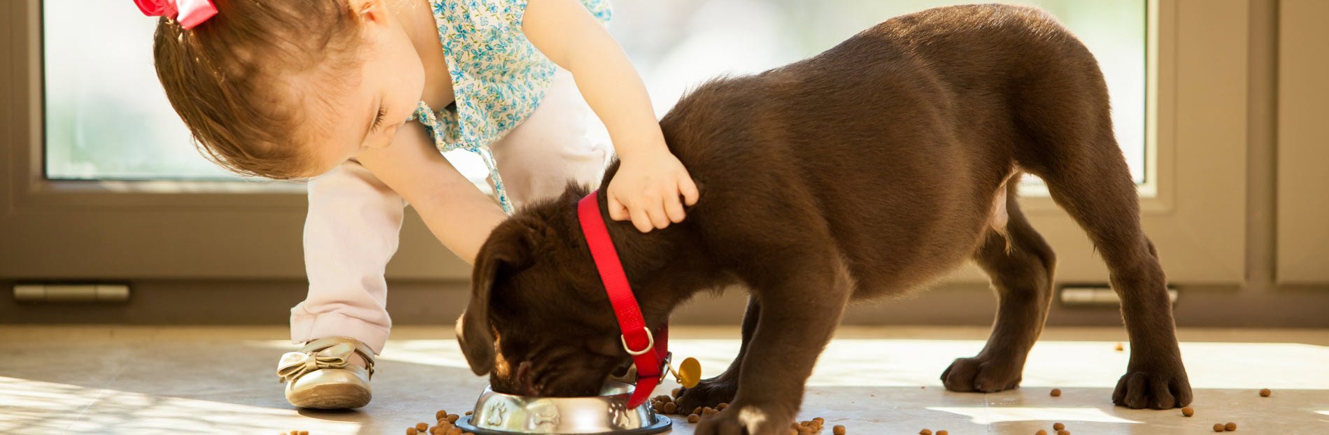 girl helping puppy eat