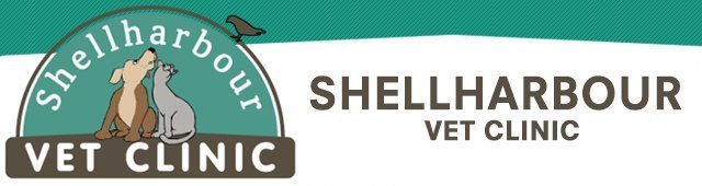 shellharbour veterinary clinic