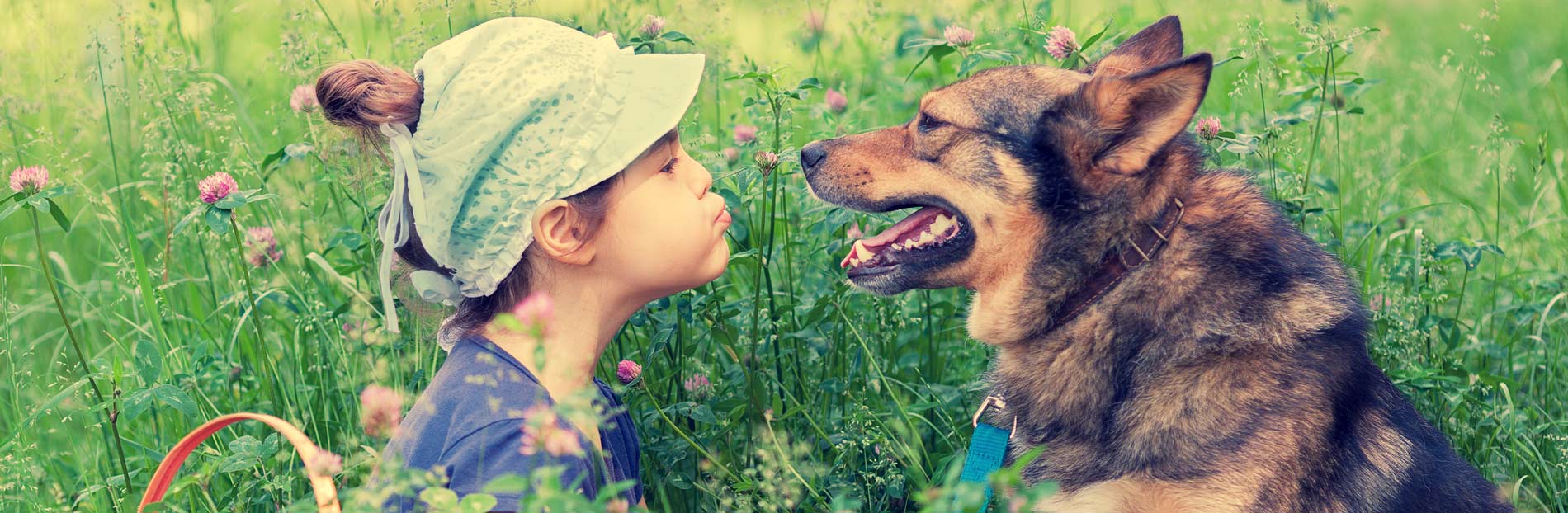 girl playing with dog