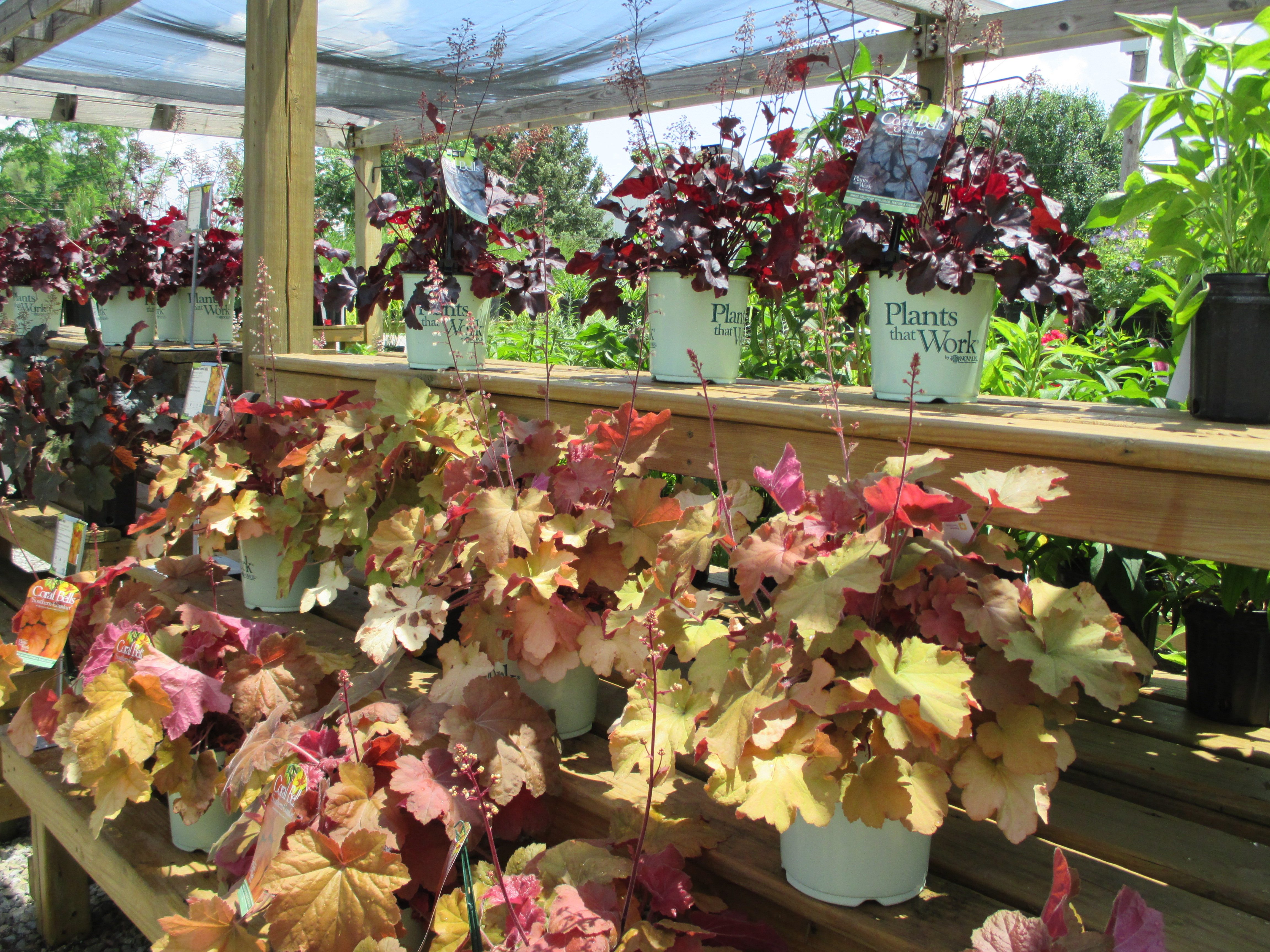 Wilson Garden Center Inc Landscaping & Tree Service Landscaping