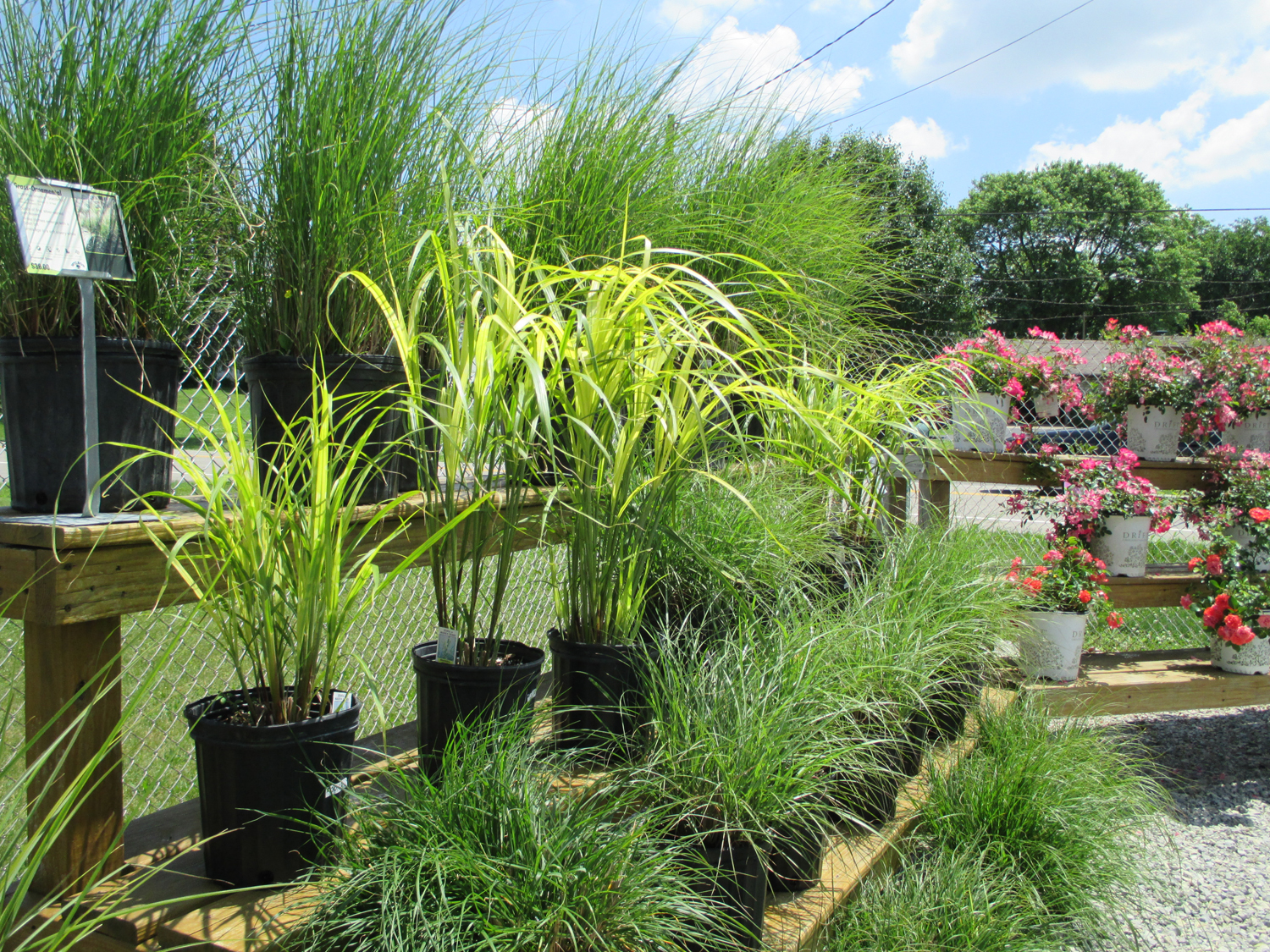 Wilson Garden Center Inc Landscaping & Tree Service Landscaping