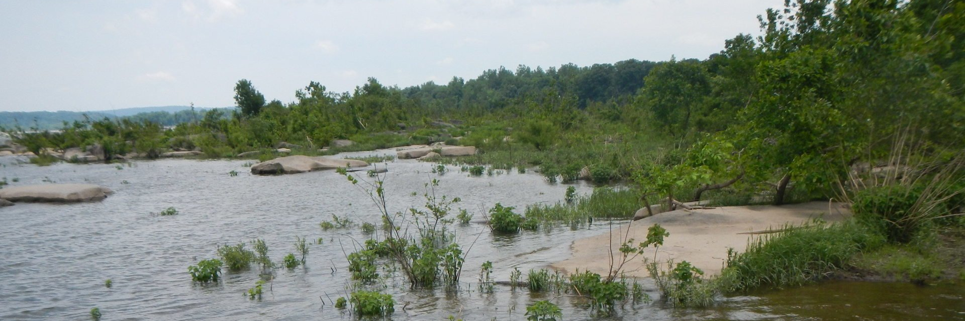Biennial Benthic Macroinvertebrate Assessments