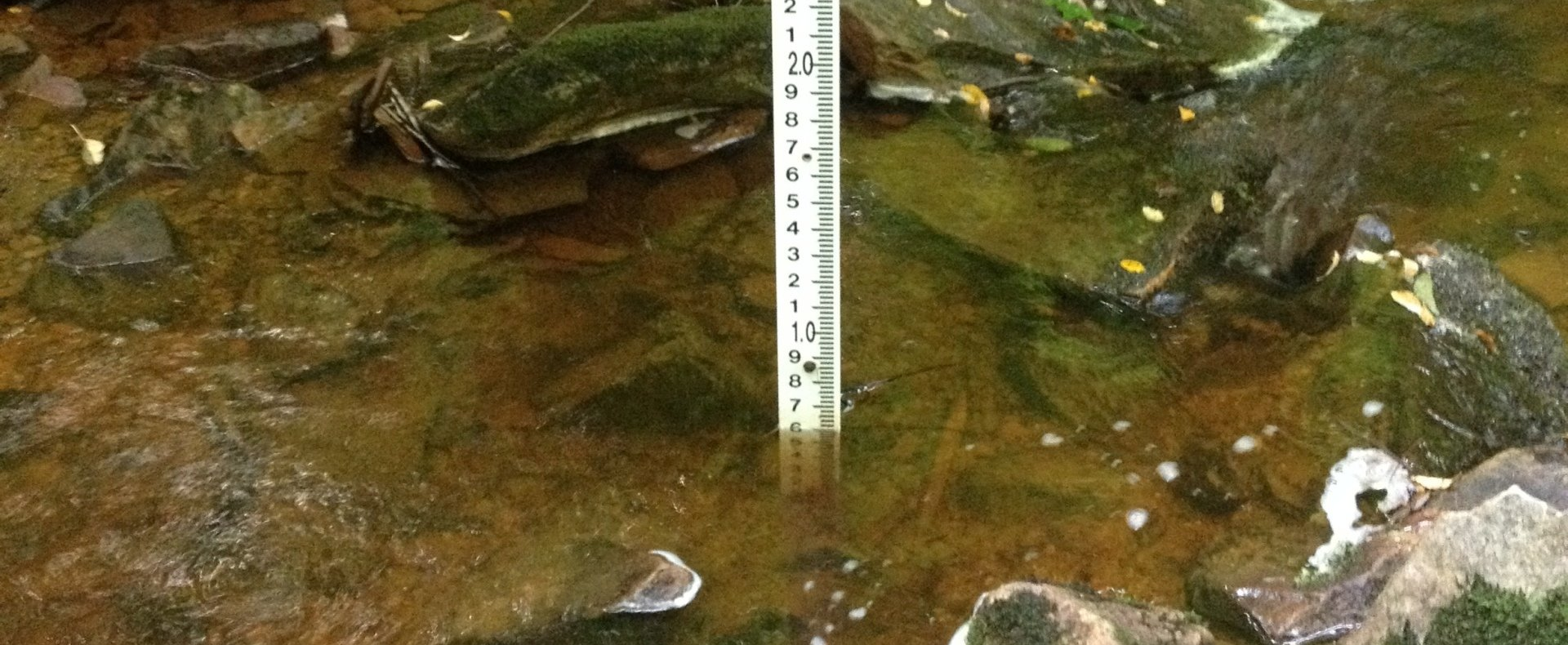 Nurturing Water Resources for Sustainable Futures