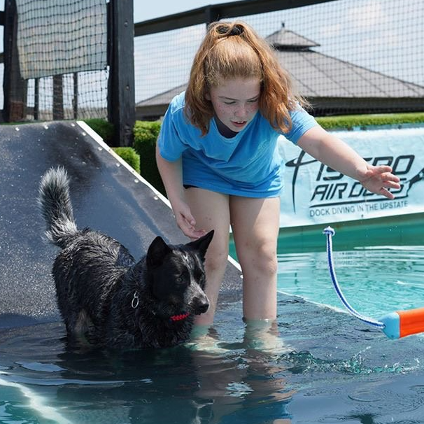 Dock Diving