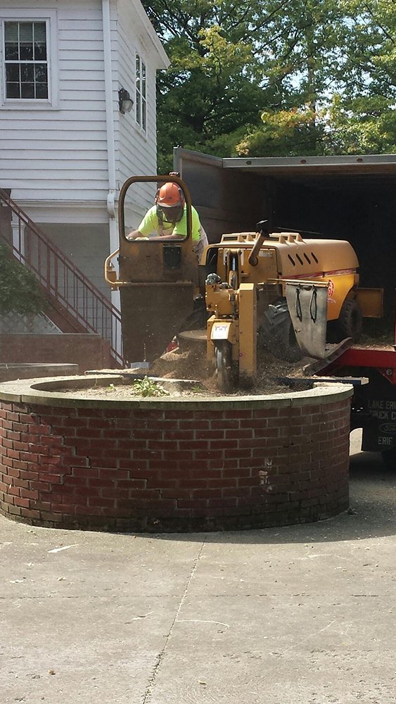 Miller Tree Service Erie Pa Food Ideas