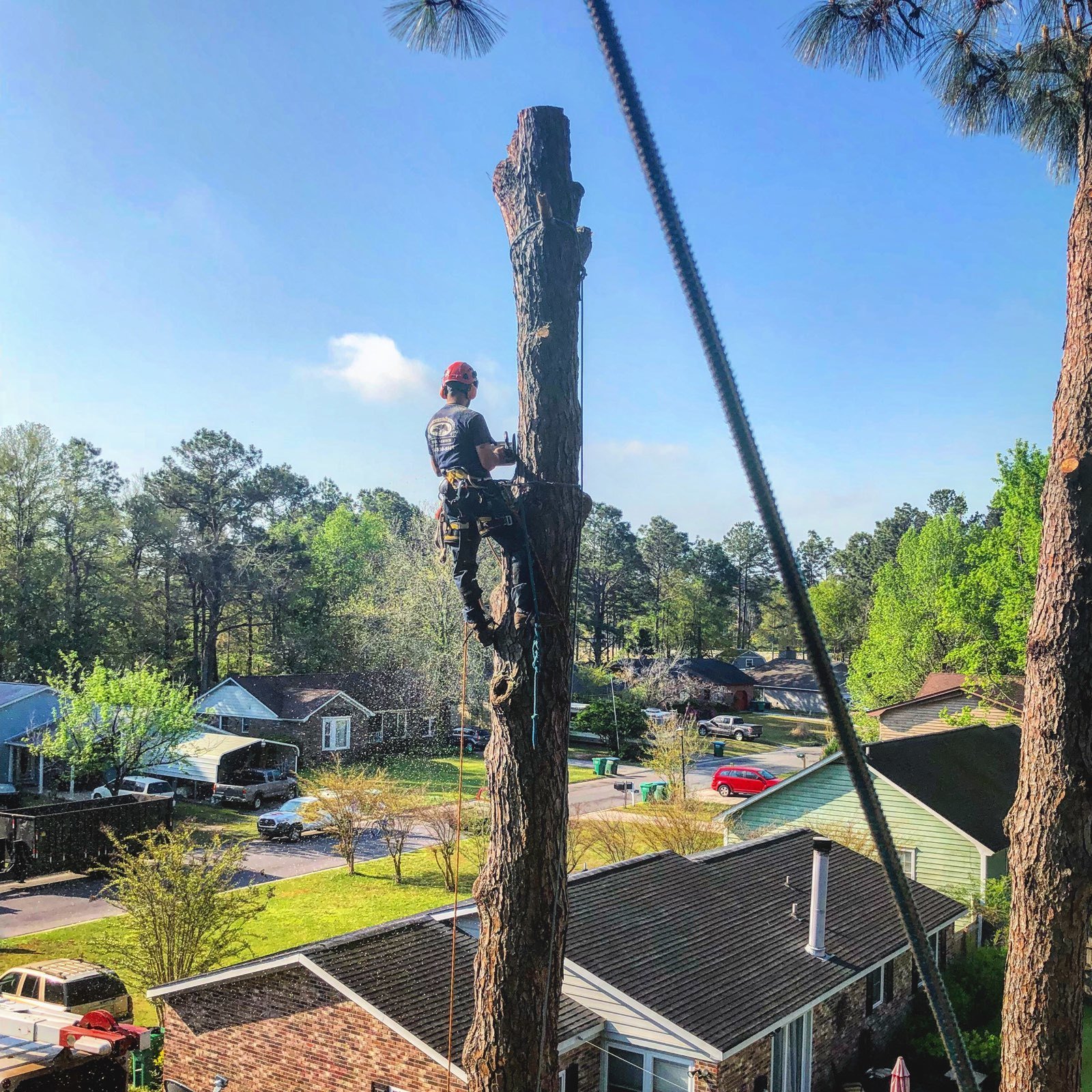 Tree Removal Summerville, SC Whackem & Stackem Tree Service