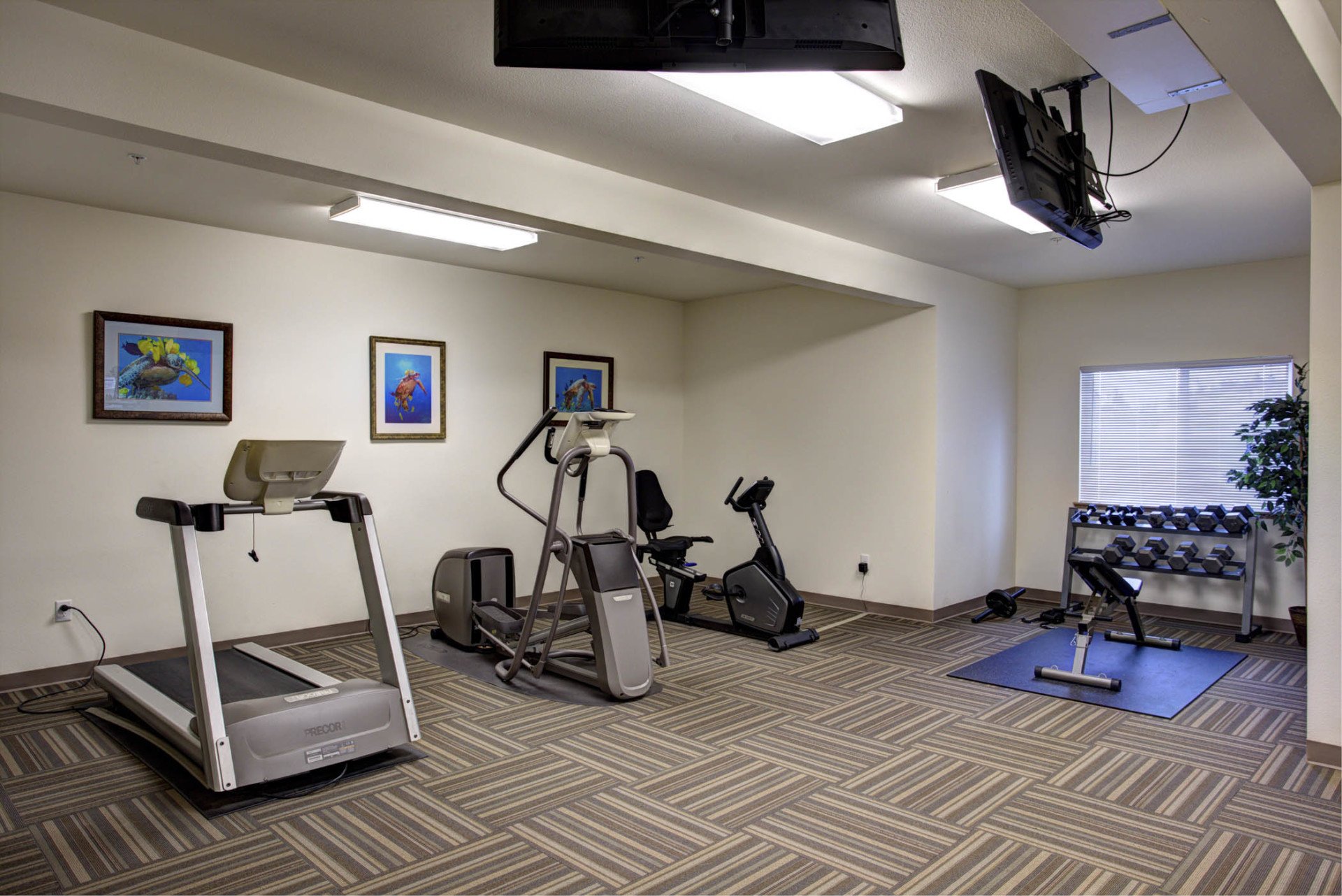 Belleau Woods Belleau Woods Bellingham, WA