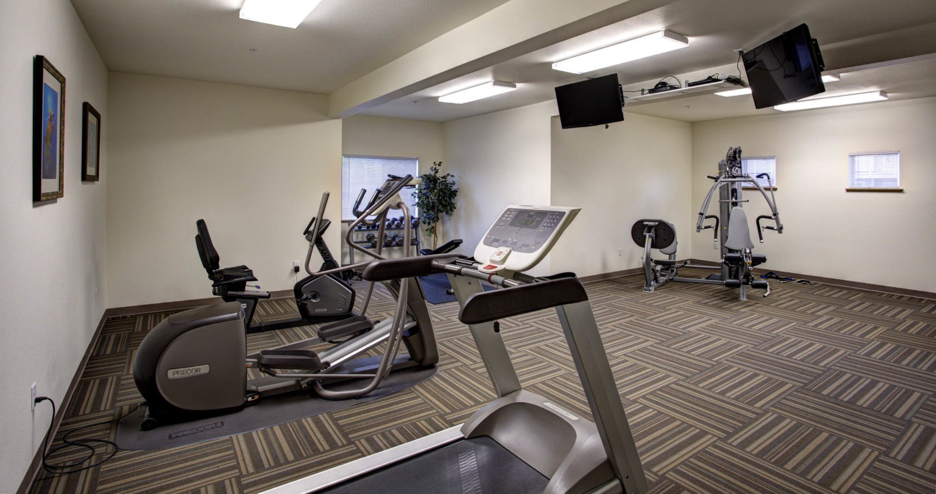 Belleau Woods Belleau Woods Bellingham, WA