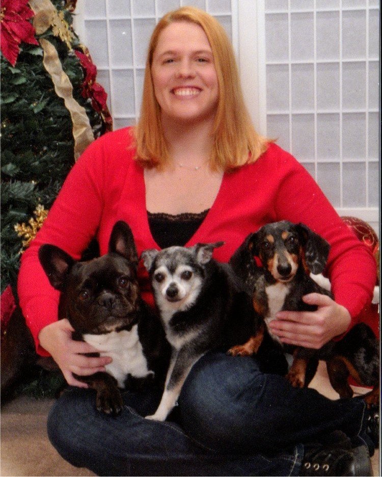 About Deco Dogs Daycare Dover & Rochester, NH Dog Grooming