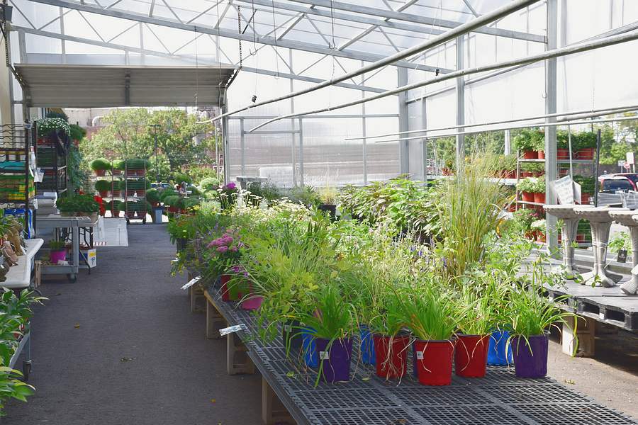 Connecticut Fresh Food & Produce Market Wallingford, CT Garden Center