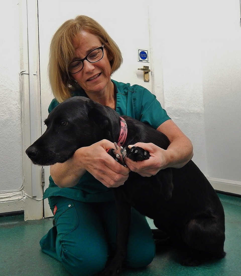 Veterinary Group Granton Dundas Veterinary Group