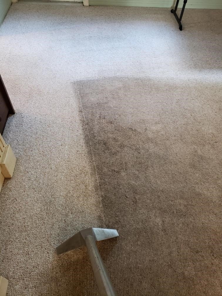 Carpet Cleaning Naples, FL Kidds Quality Cleaning