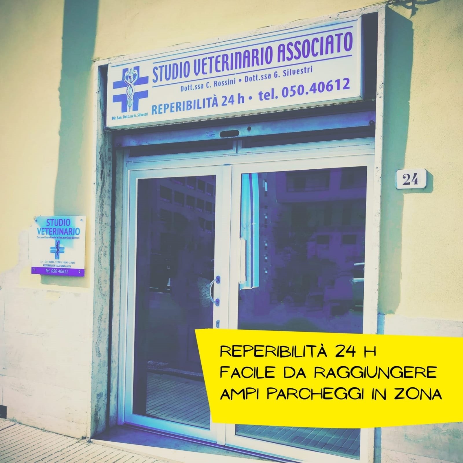 ambulatorio veterinario associato dr. cabboi - messina - piga