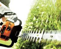 kendalls tree service tree maintanance