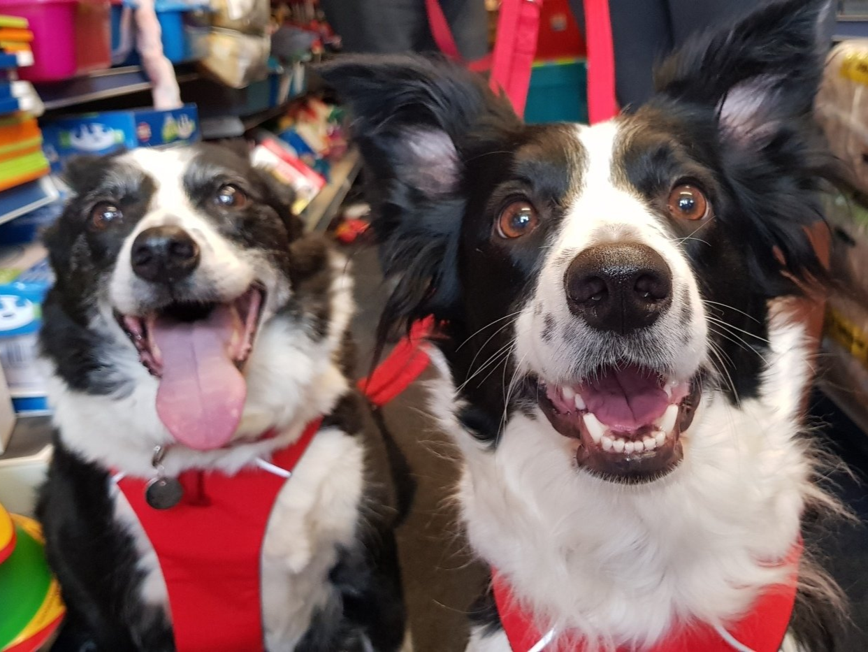 Pet food supplier Bradway Pet Shop