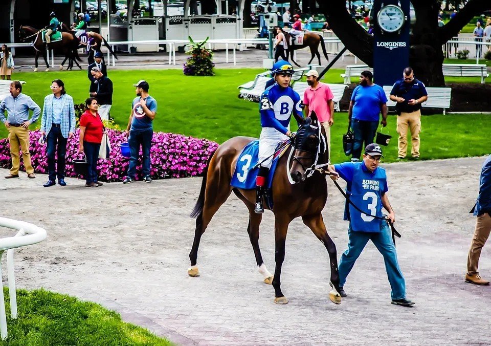 Free Horse Racing Trainer Angles Handicapping Tips