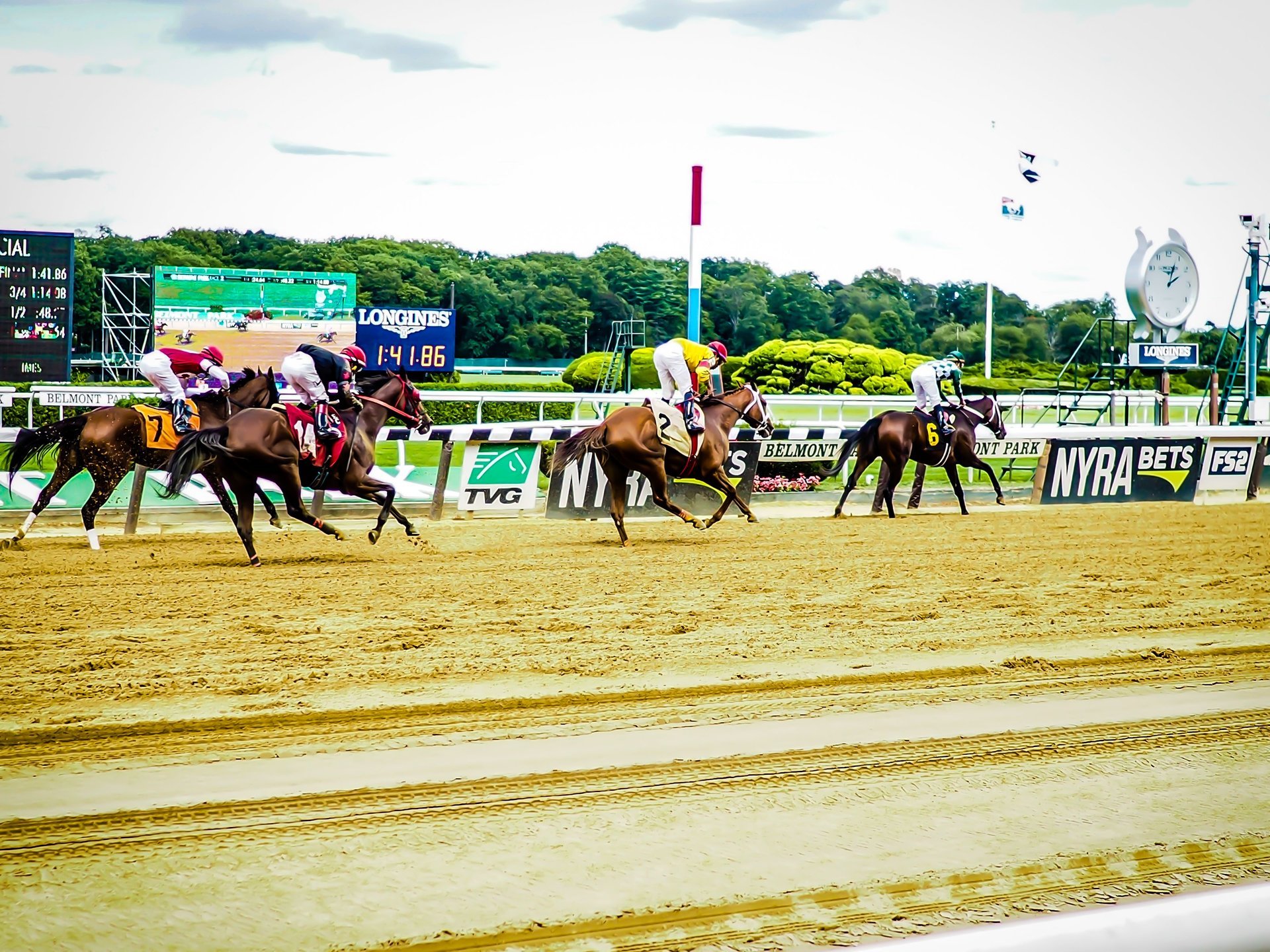 Horse Racing Picks Tips Betting Best Bets Longshots