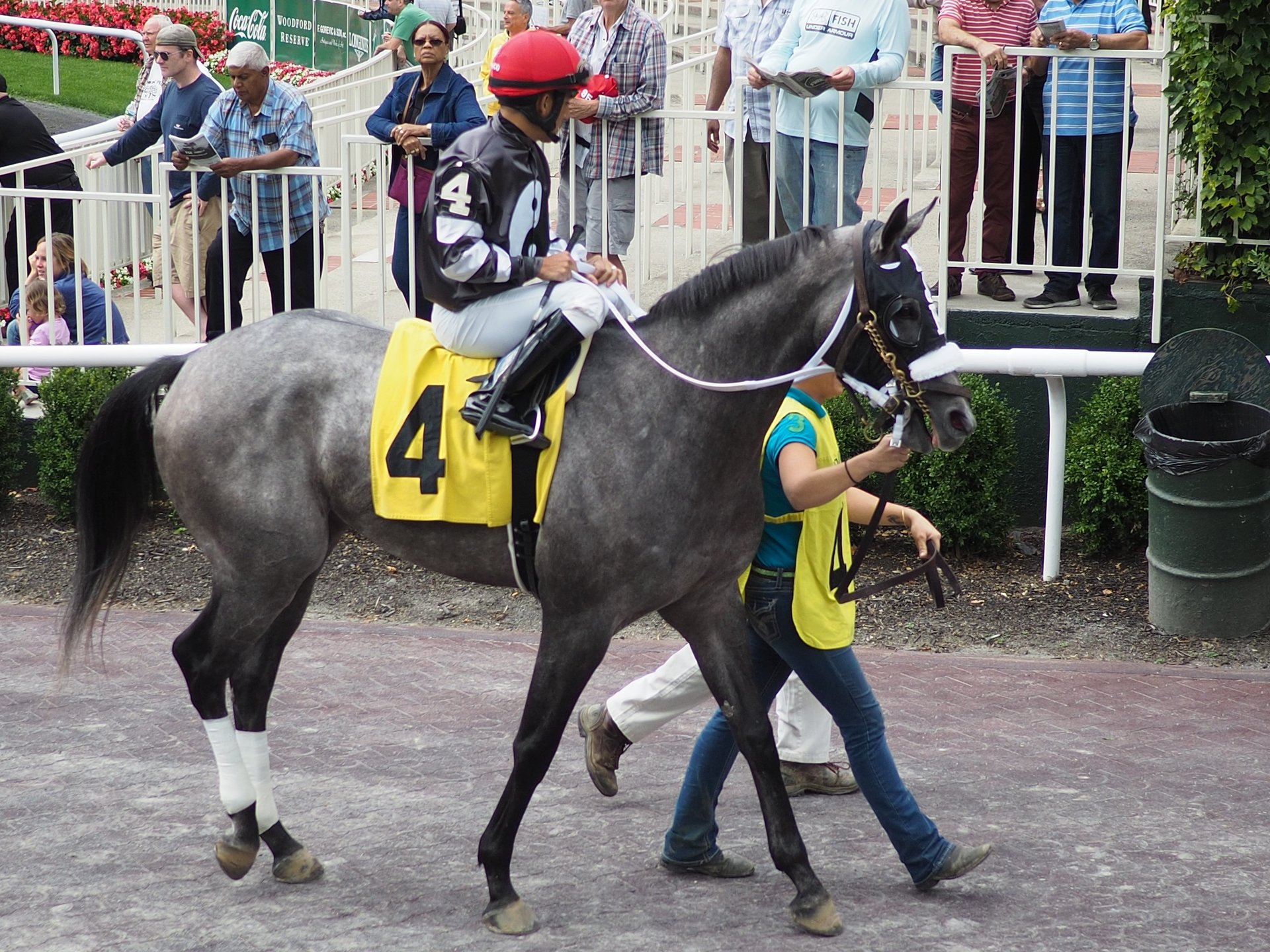 Free Horse Racing Trainer Angles Handicapping Tips