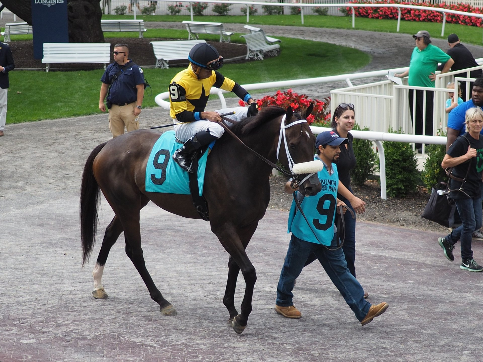 Free Horse Racing Trainer Angles Handicapping Tips