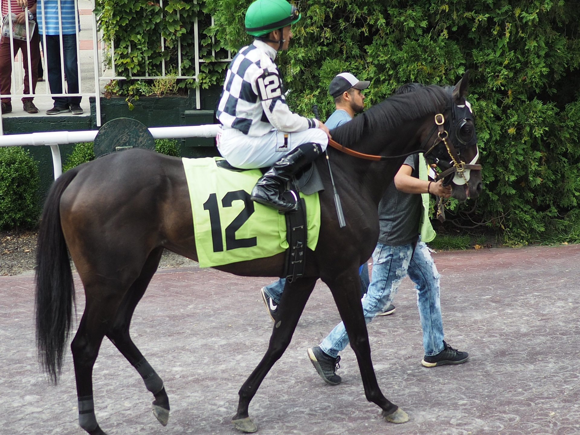 Free Horse Racing Trainer Angles Handicapping Tips