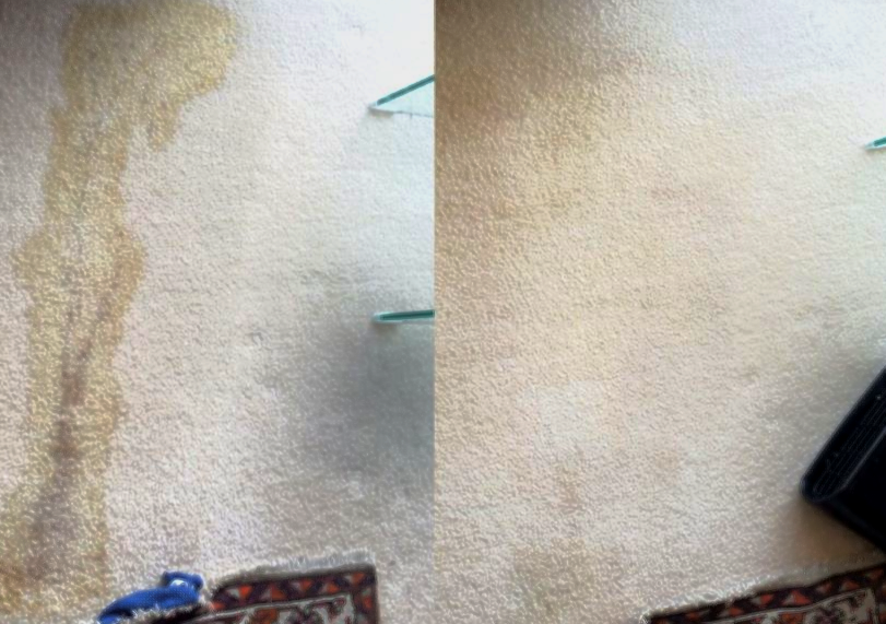 Intensive Carpet Clean Professional Carpet Cleaning