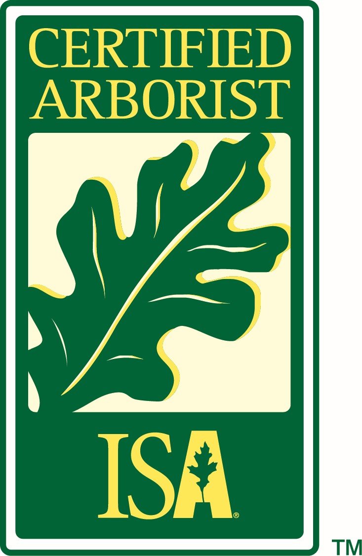 Certified Arborist Tucson, AZ Arizona Tree and Landscape Service, Inc.