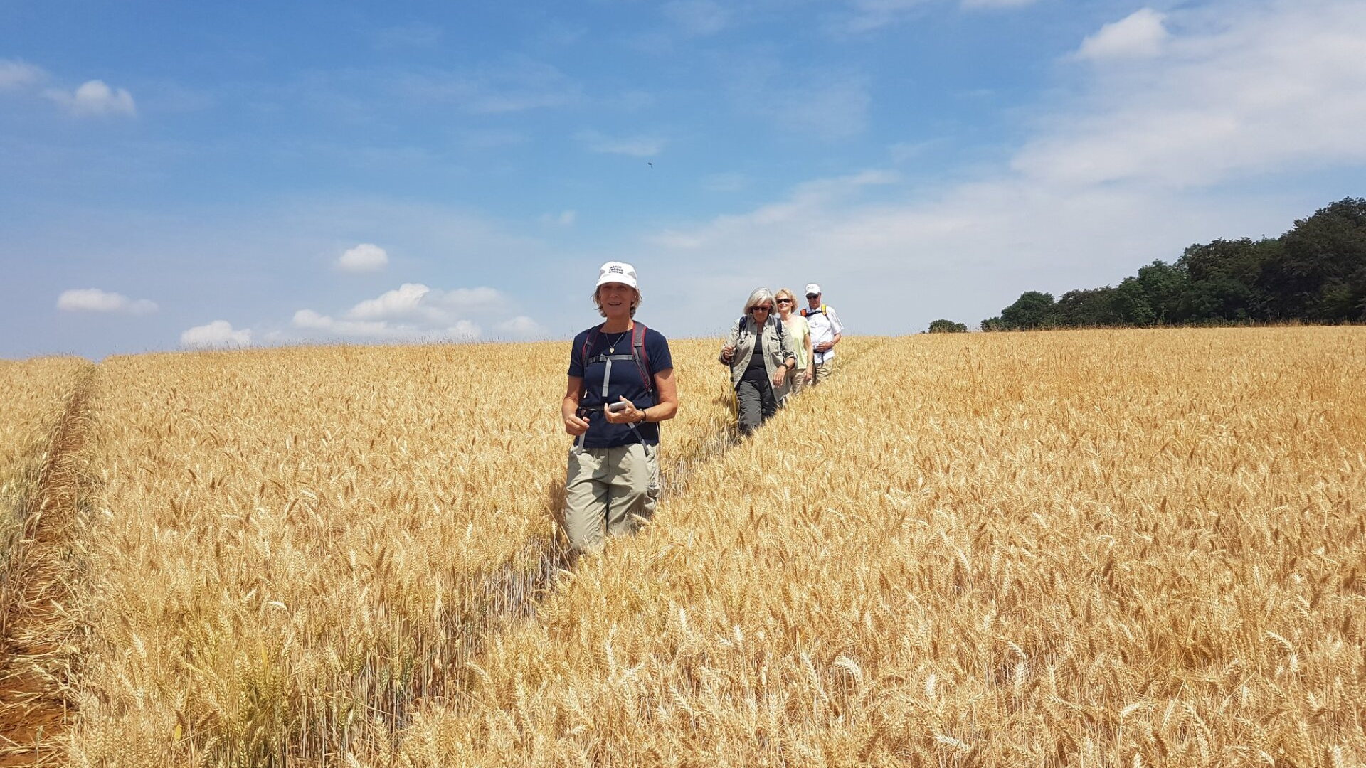 How Much Does a site Cost? Kangaroo UK