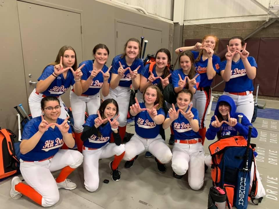 Motor City Hit Dogs Softball Academy