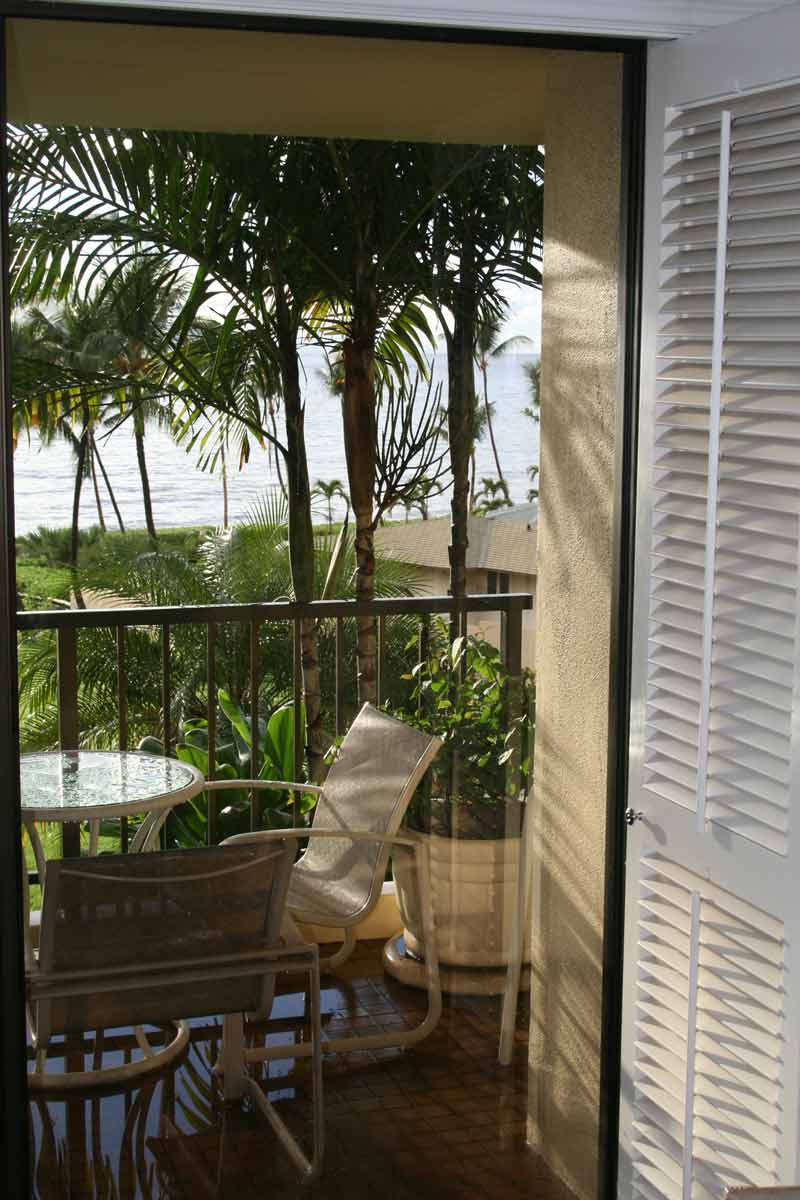 screen door leading to porch