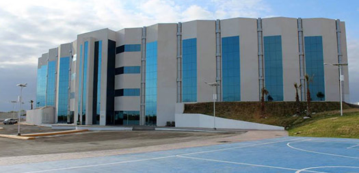 Licenciatura en psicología