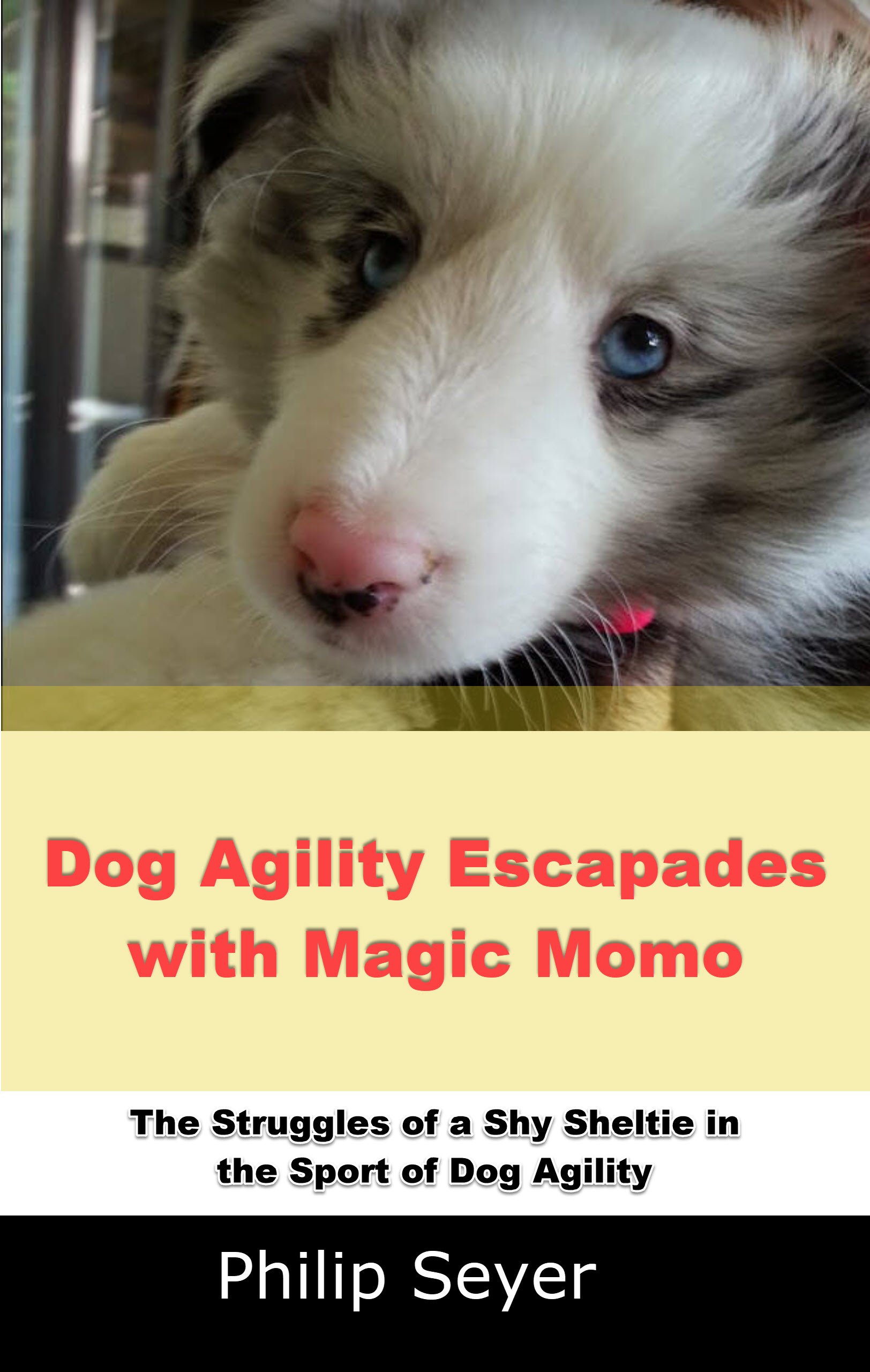 Dog Agility Books to Help You Learn How to Get More Clean Runs
