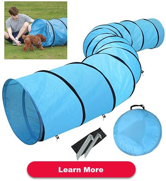 Adding Distance in Dog Agility Handing