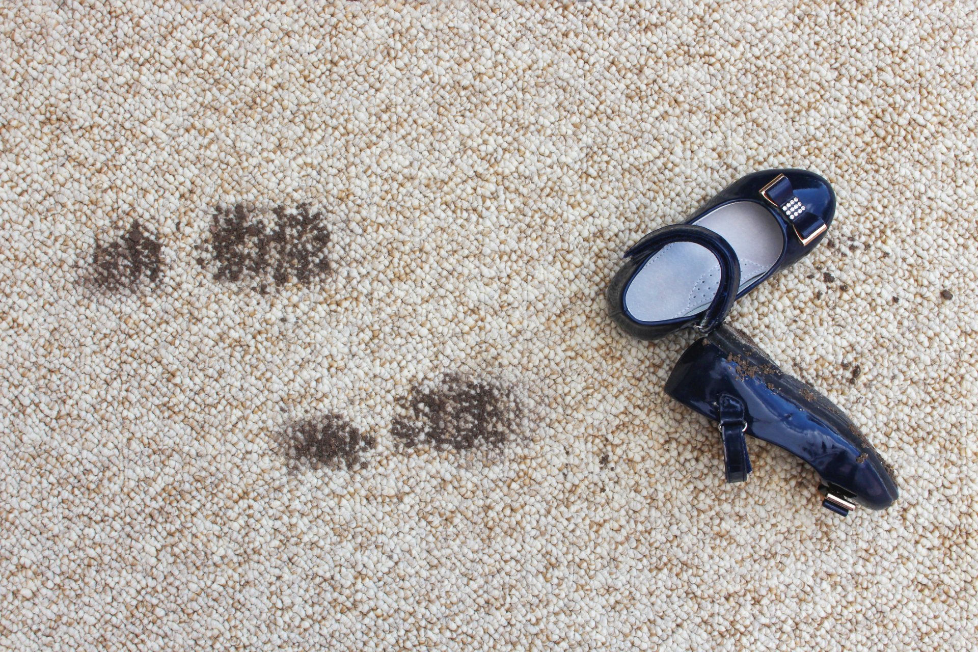 Rug Cleaners Tonawanda, NY Master Rug Cleaner Carpet