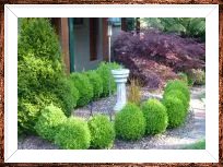 residential landscaping