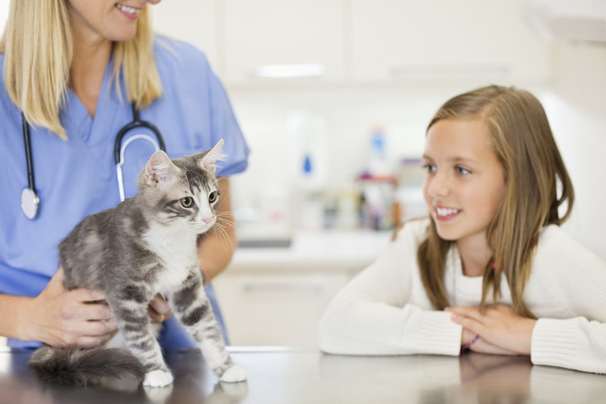 Pet health checks Ash House Vets Ltd