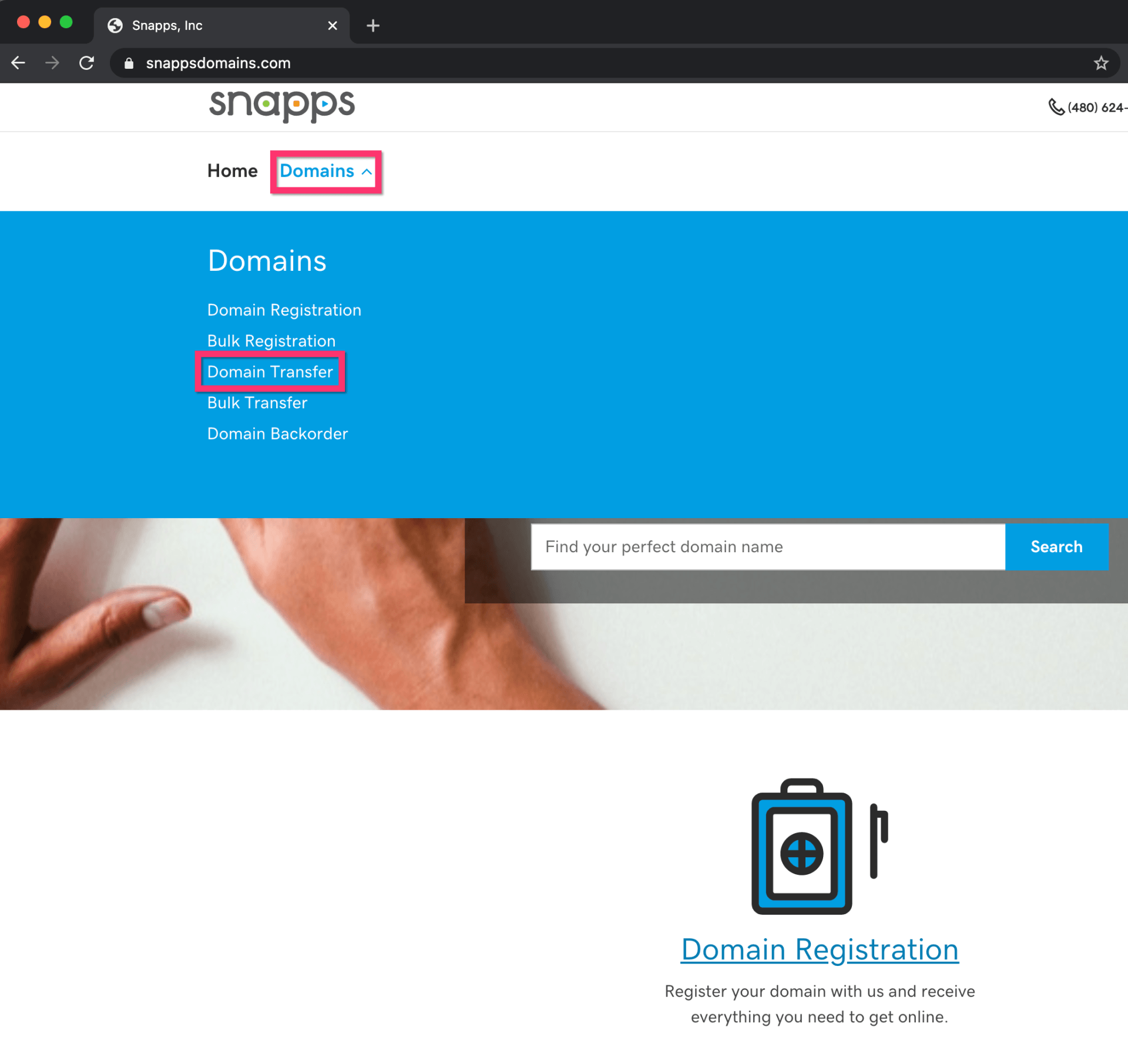 Purchasing and Transferring Domains